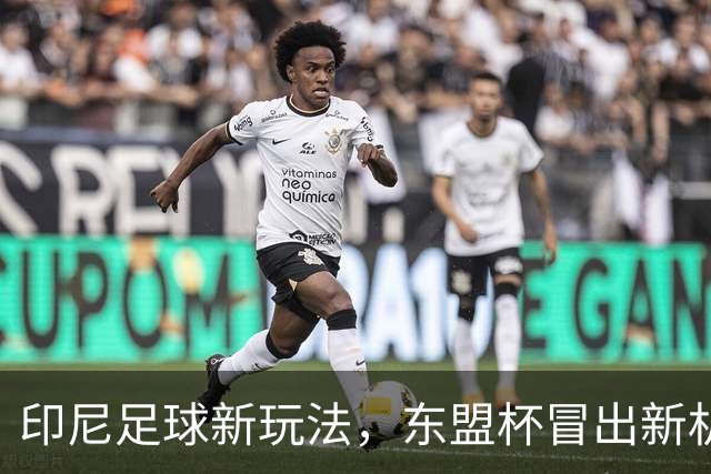 印尼足球新玩法，东盟杯冒出新机会，中国队该不该参与？