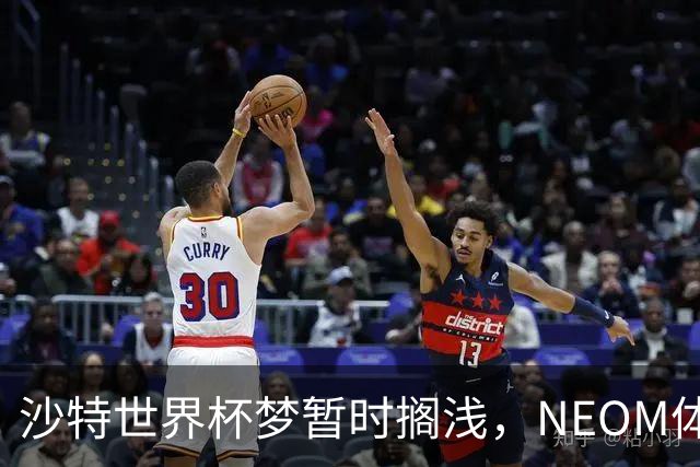 沙特世界杯梦暂时搁浅，NEOM体育场成“停工王